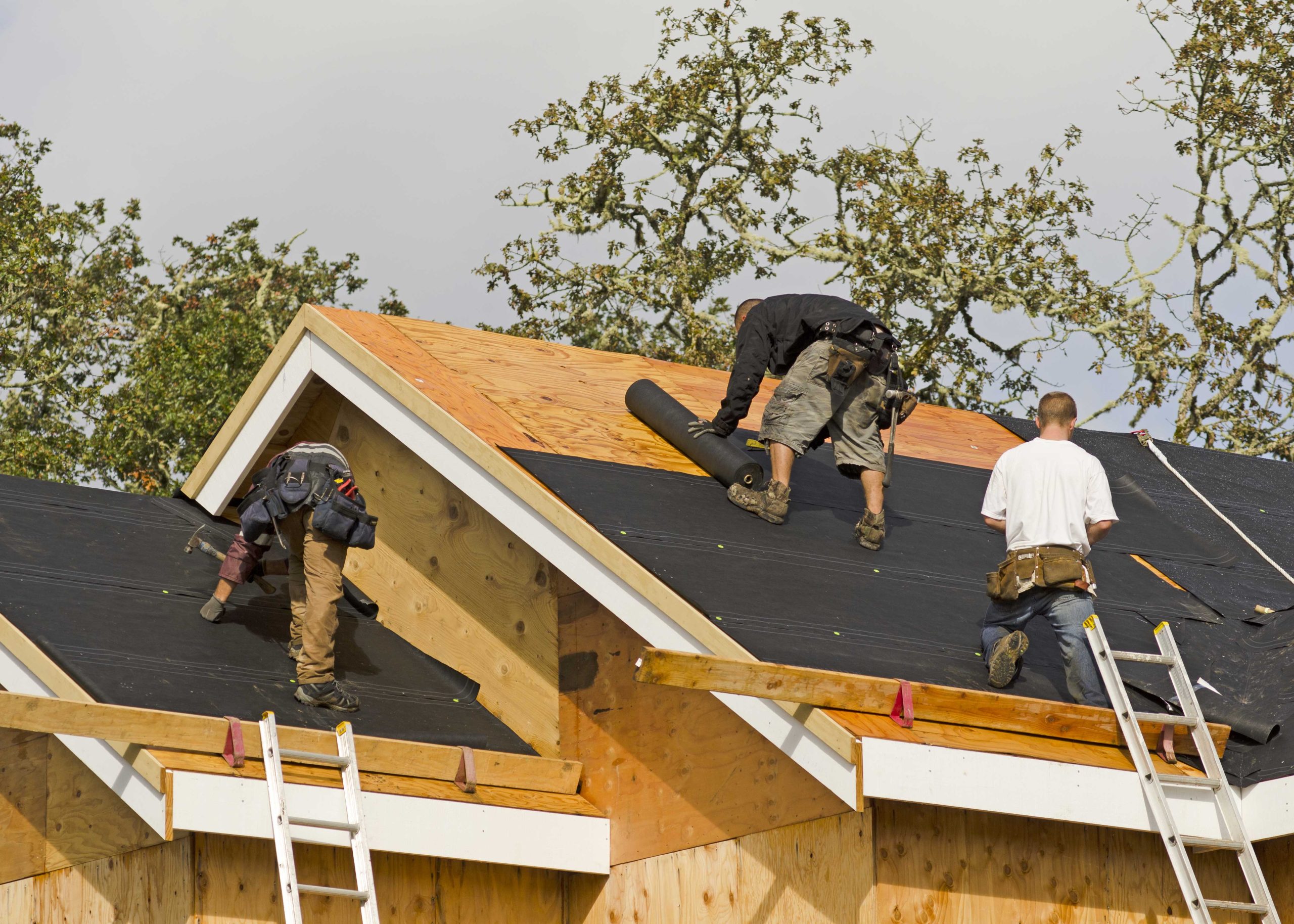 Professional roofers in Warner Robins